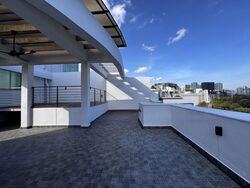Balmoral 8 (D10), Condominium #480461281